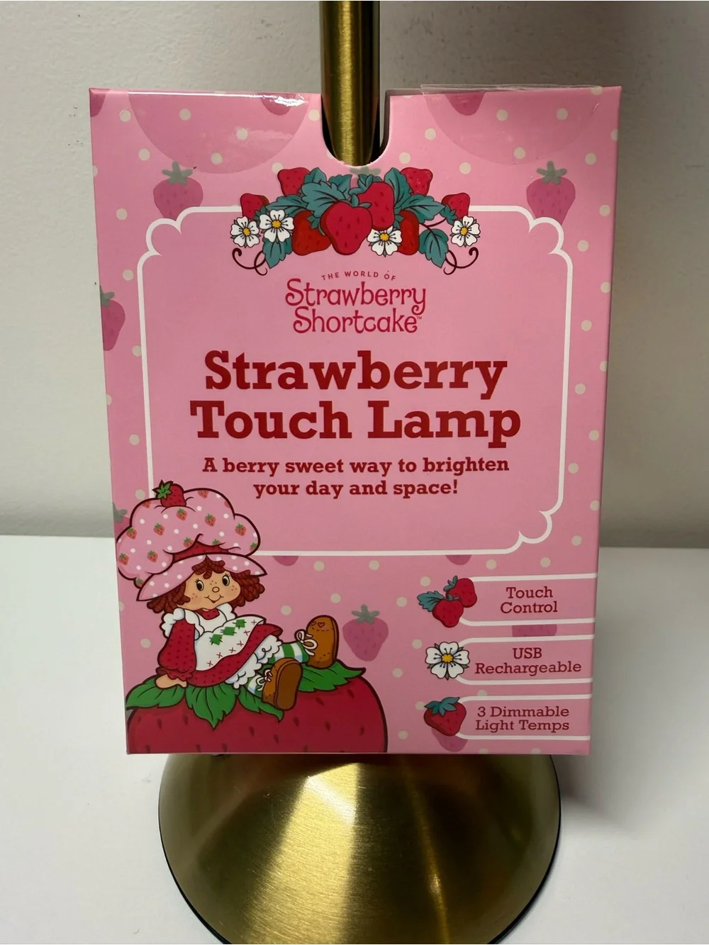 Strawberry Shortcake Touch Lamp USB Rechargeable Glass Dimmable Collectable